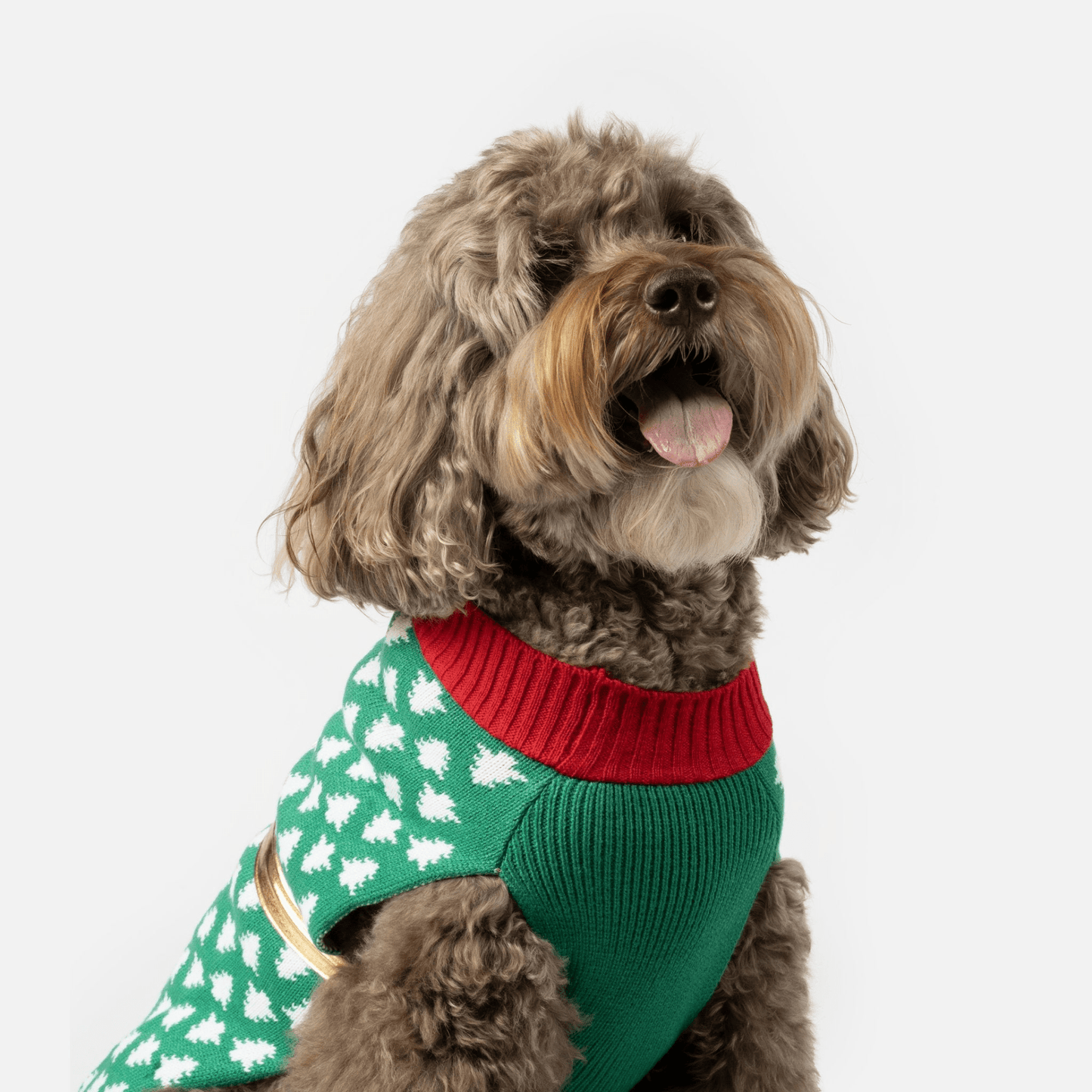 Dog and Pet Stuff XS Gift Dog Sweater