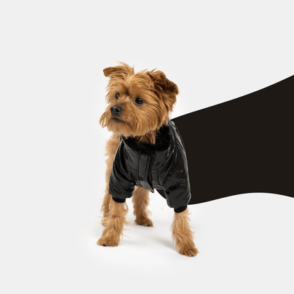 Dog and Pet Stuff XS Phoenix Dog Jacket - Black