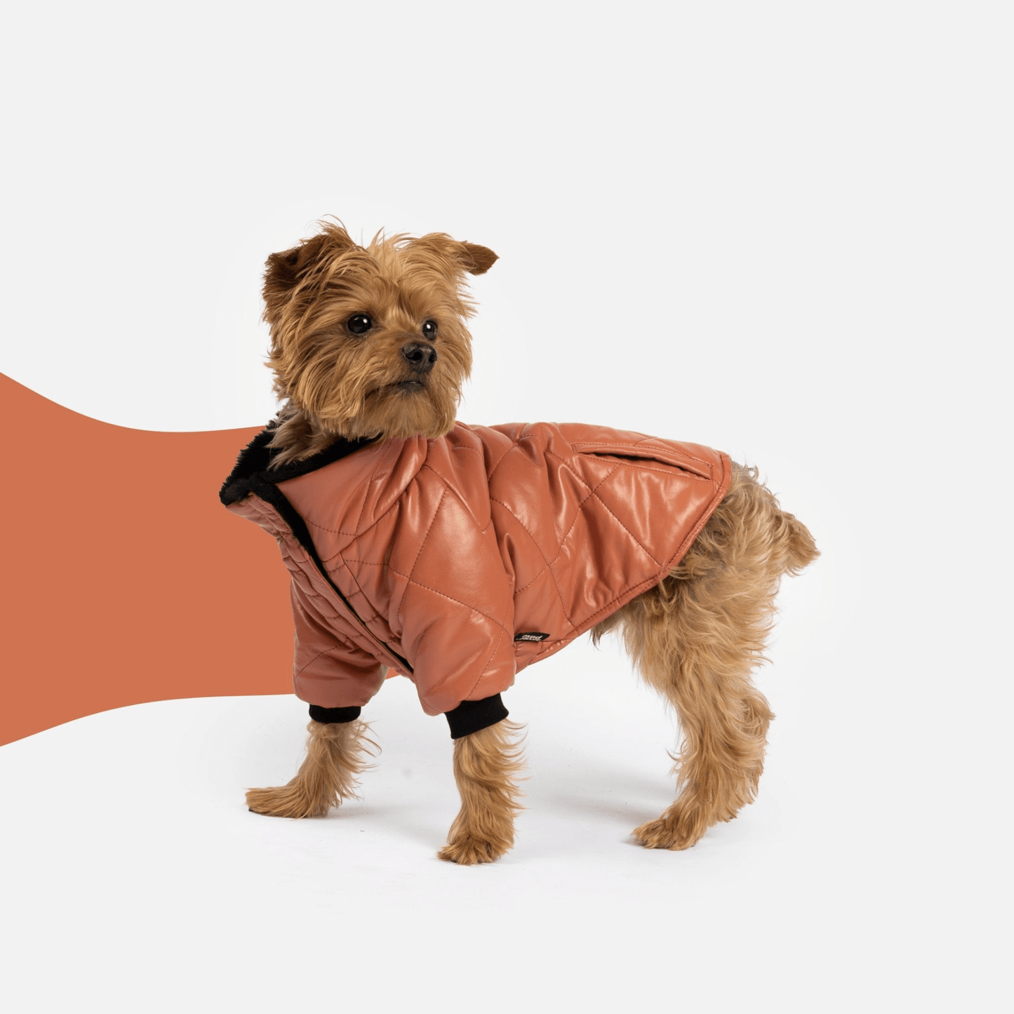 Dog and Pet Stuff XS Phoenix Dog Jacket - Terracotta