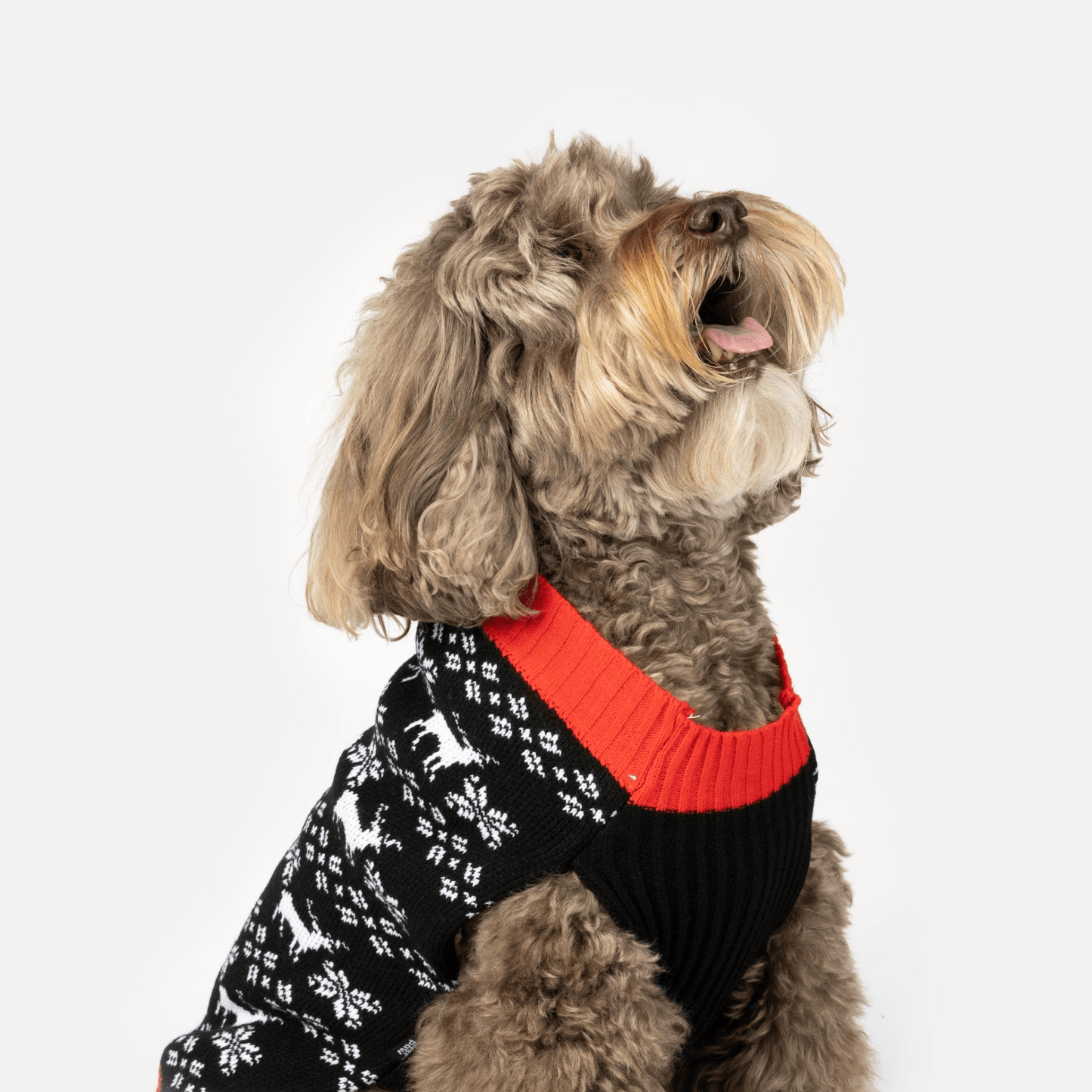 Dog and Pet Stuff XS Reindeer Dog Sweater