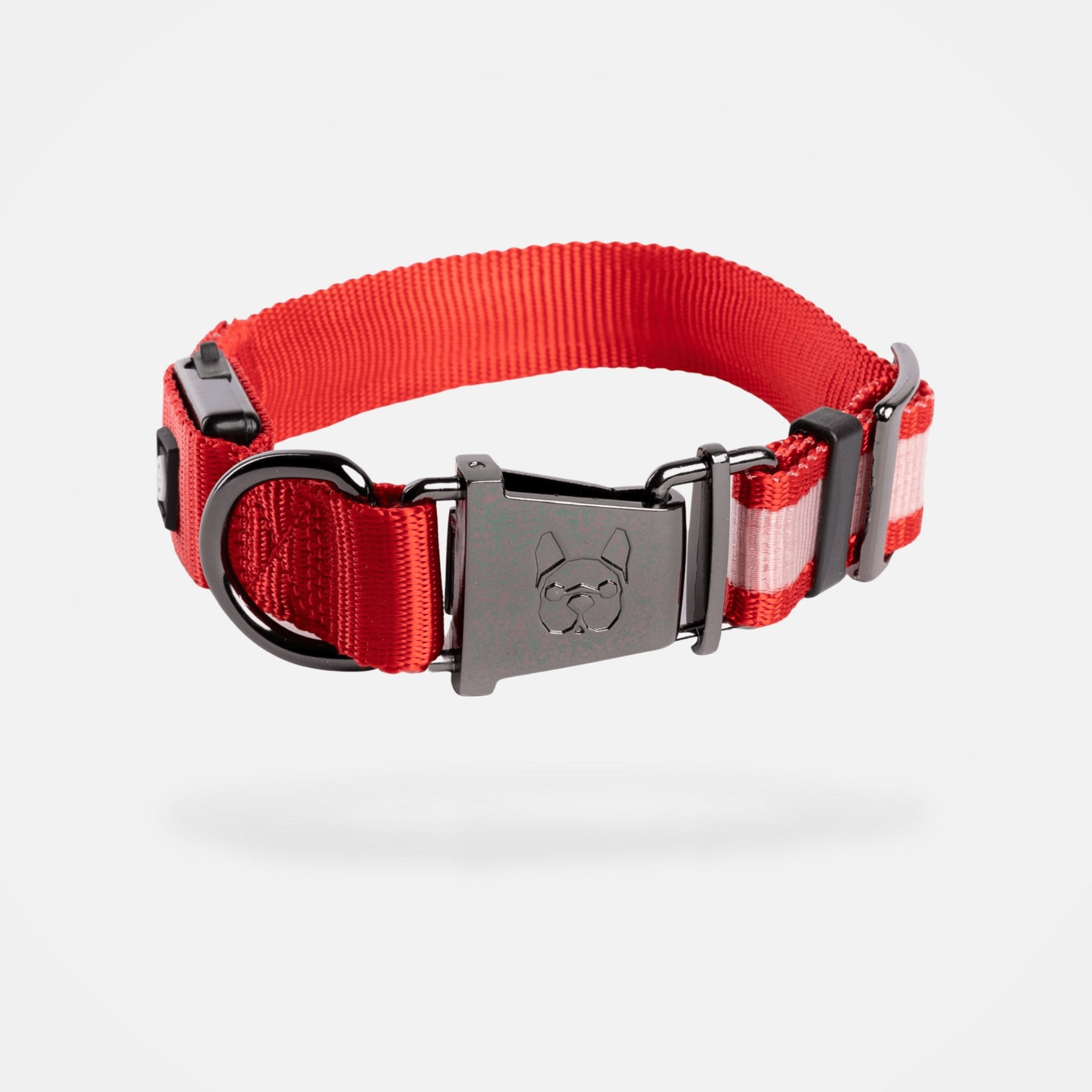 Dog and Pet Stuff XS/S LED Dog Collar - Red