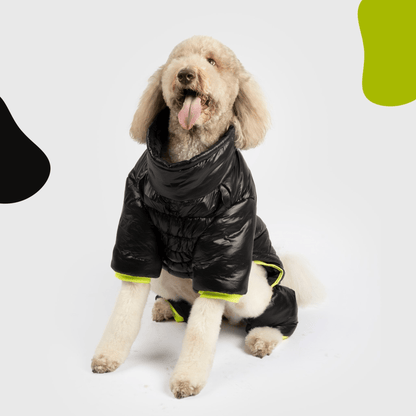 Dog and Pet Stuff XS Whistler Full Body Dog Snowsuit - Black