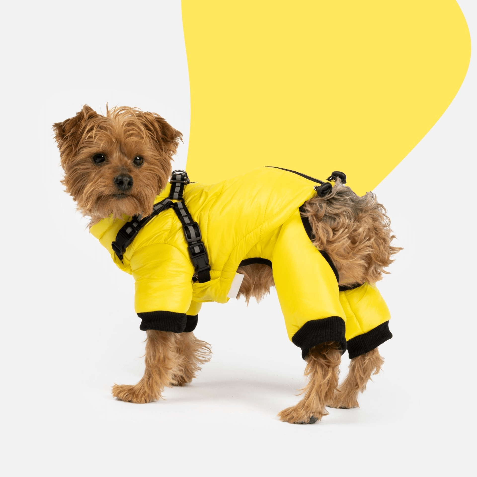 Dog and Pet Stuff XS Whistler Full Body Dog Snowsuit - Yellow